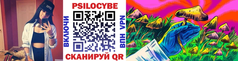 Галлюциногенные грибы Psilocybine cubensis Печоры